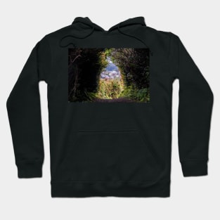 Looking out towards Trinidad Hoodie